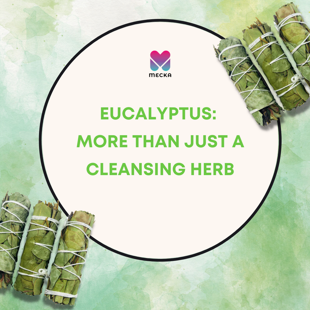 Eucalyptus: More Than Just a Cleansing Herb