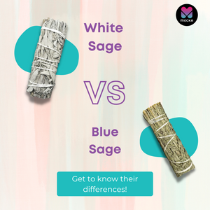 White Sage vs. Blue Sage